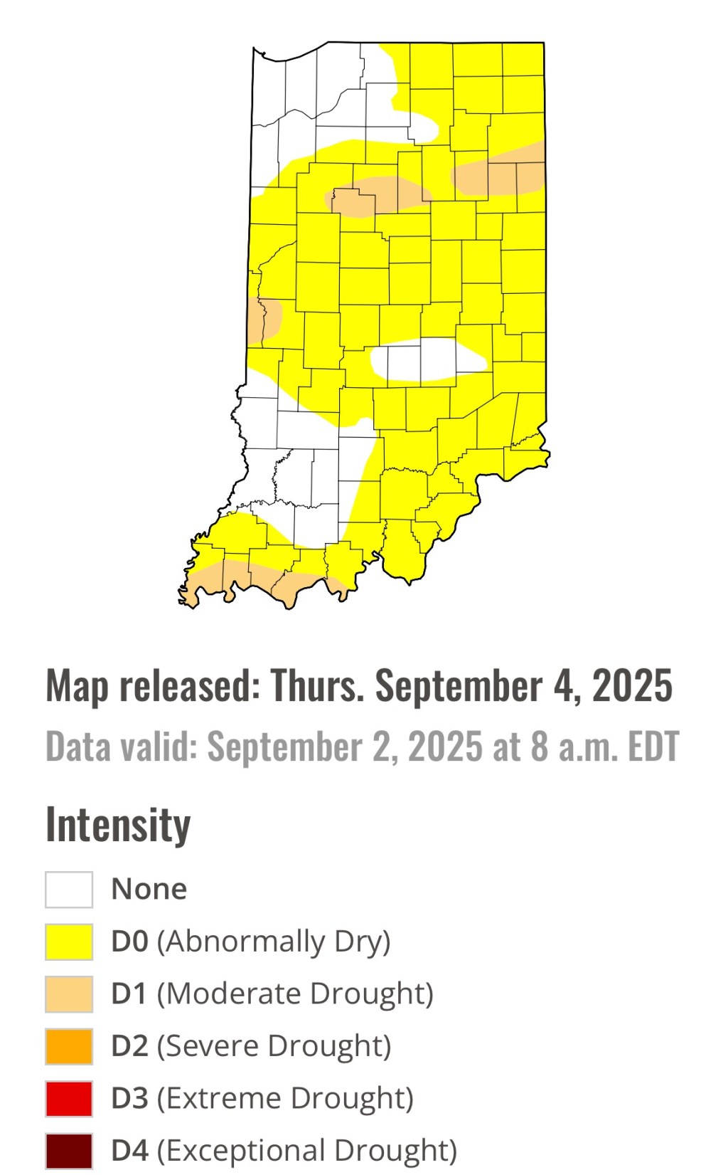 Rollercoaster Continues